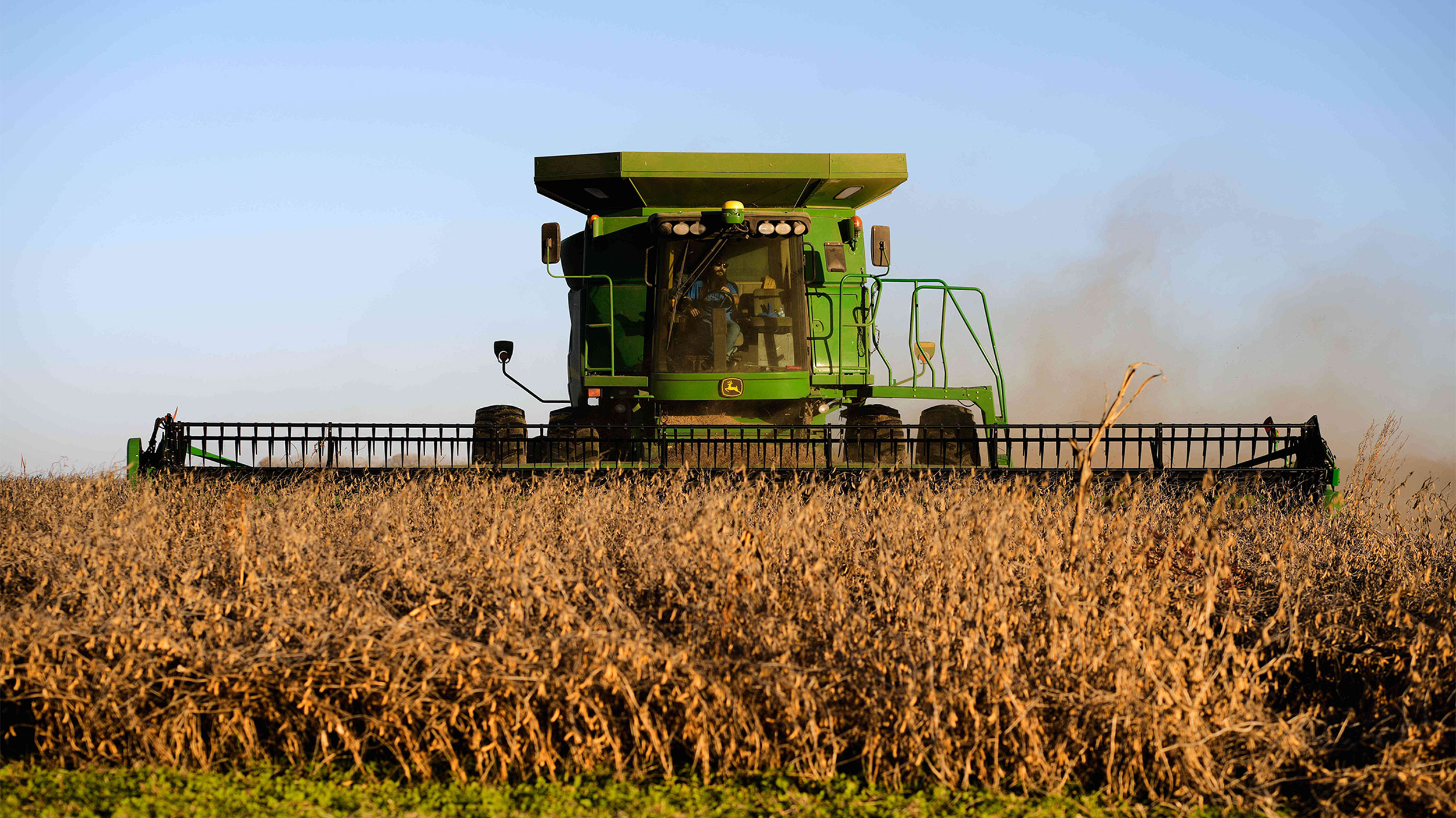 As COP30 ends, a closer look at a major source of emissions: agriculture