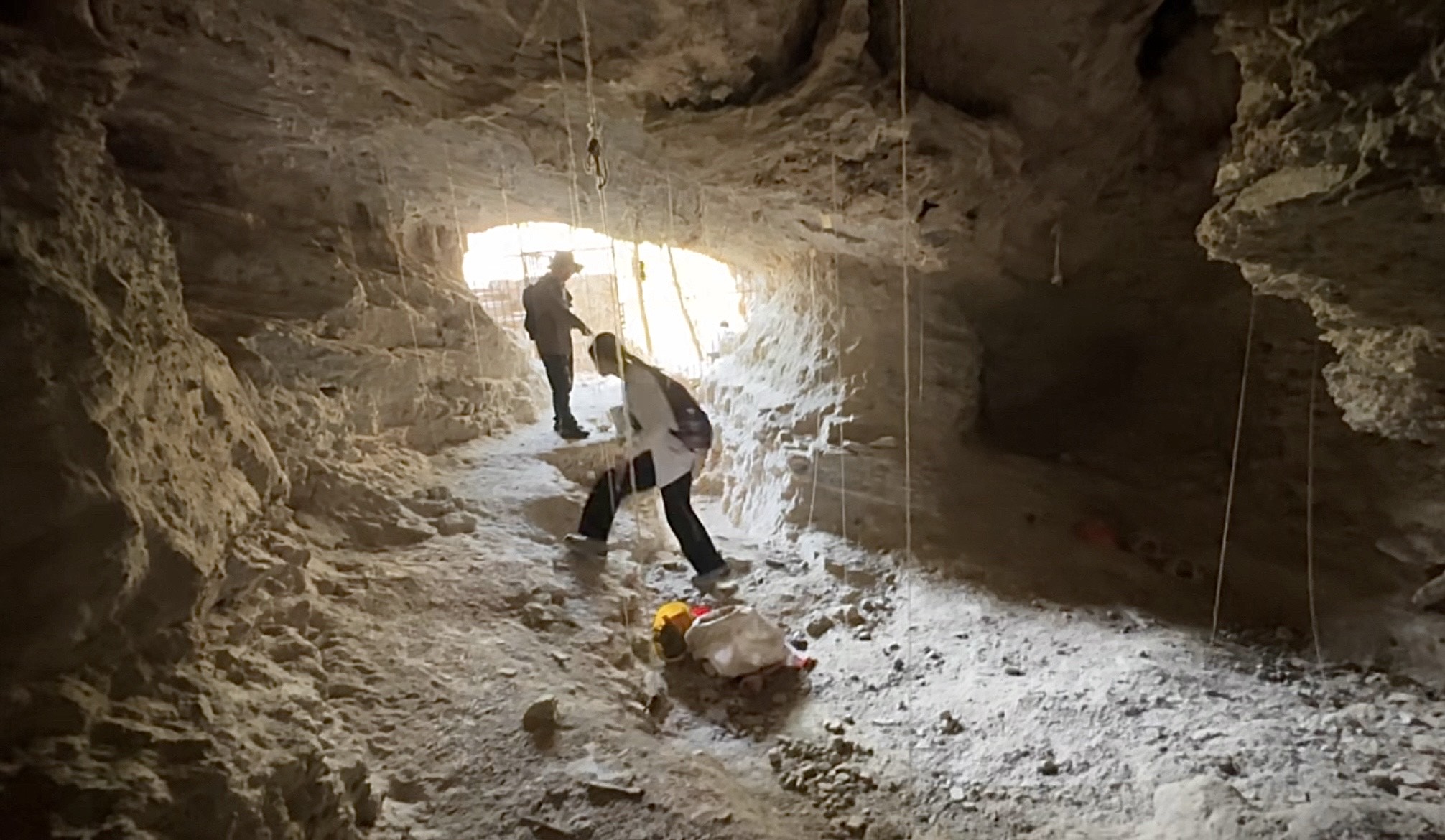 Out of Eden Walk: The origin story of the human species is still being written