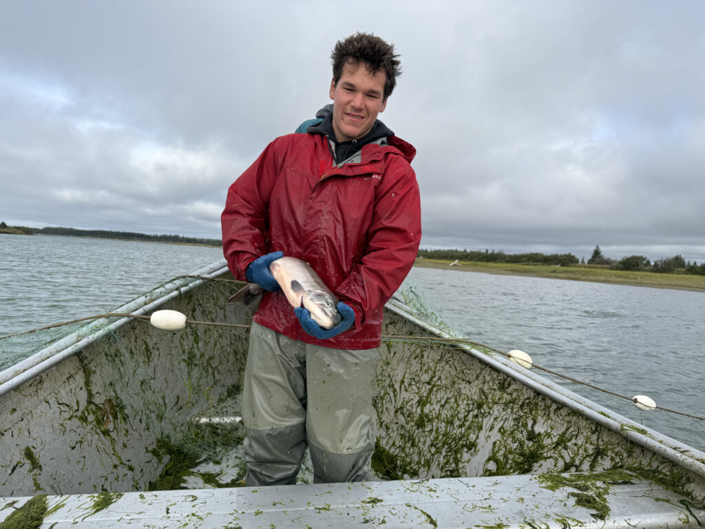 The ‘fishing link’: The role of salmon in the human migration to North America 