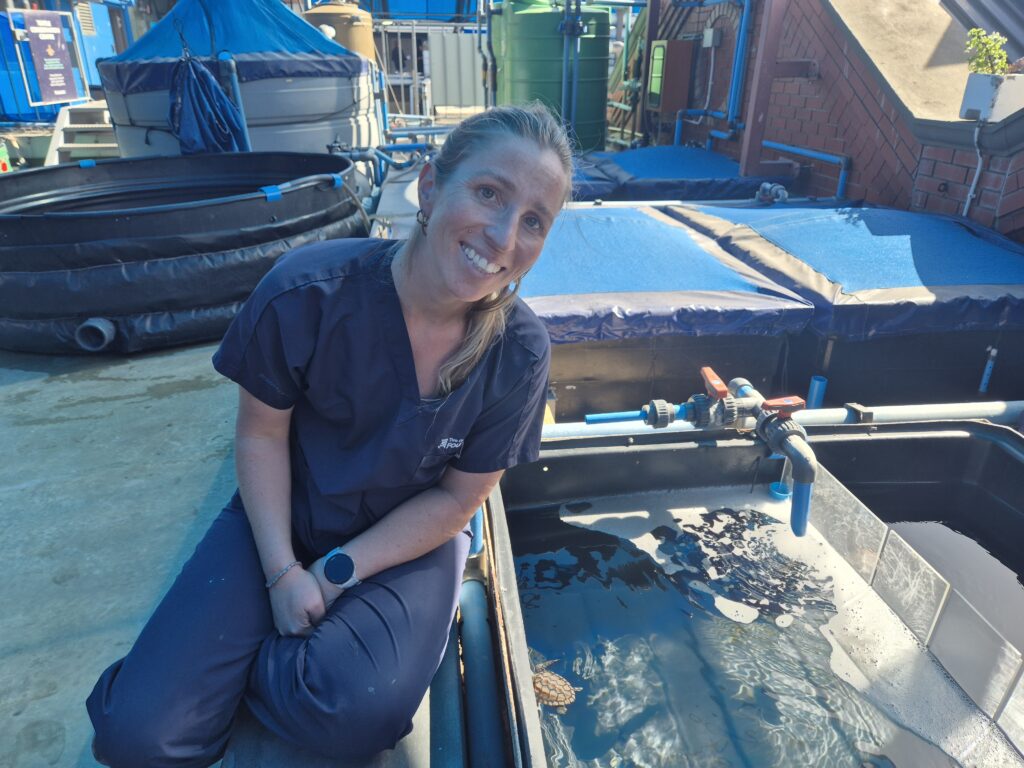 A smiling woman in navy scrubs kneels beside an outdoor rehabilitation tank containing sea turtles at a marine rescue facility