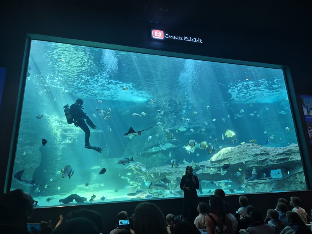 Um mergulhador nada entre peixes e raias em um grande tanque de aquário na Exposição Oceânica do IJ, com um apresentador e público à frente. Um mergulhador nada entre peixes e raias em um grande tanque de aquário na Exposição Oceânica do IJ, com um apresentador e público à frente.